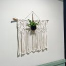 프레쉬 힐 이미지