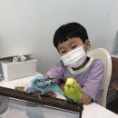 앵무새카페 버드리~예쁜새들 많아요~