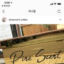 파인센트(pine scent)