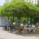 금호강8 이미지