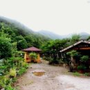 숲속정원펜션 이미지