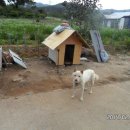 진군농장 이미지