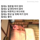 뺑스톡 - 마포구 | 뺑스톡