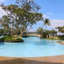 스타키즈 수영장 이미지