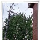 동빙고 부군당 이미지