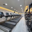 서초스포츠센터 이미지