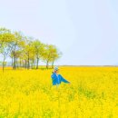 (주)나린기획 이미지