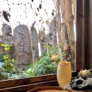 제주공항게스트하우스그린데이 이미지