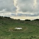 올레목장 | [ 제주도 여행 ] 1, 2일차: 밤비행기-서쪽가게-성이시돌목장-금오름-올레시장