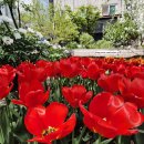 예본안과의원 이미지