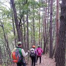 김삿갓해선식당민박 이미지