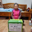 양영숙 이미지