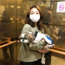 규르규르 일상