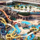 예산(대전) 이미지