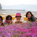 서도지구대 이미지