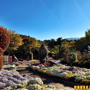 대구수목원 이미지