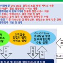 바른국제행정사사무소 이미지
