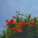 삼삼컨트리클럽 이미지