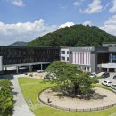 장안산 봄나물 축제 이미지