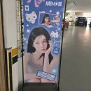 땅키 - 동대문구 외대역동로1길 60-3 | 땅키