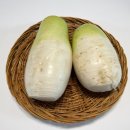 무 이미지