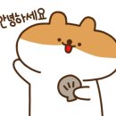 컴페니언펫 이미지