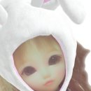 언제나;꽃봄