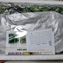 동네채소집