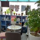 이레장식 이미지