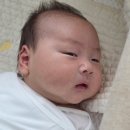육아일기 : 원더웍스 + 응아 파티