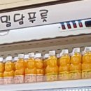 밀담푸릇화성