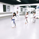 국가대표 한결태권도장 이미지