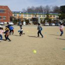 월전초등학교 이미지