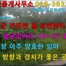 ﻿( 물건 5059 ) 거창군 가조면 올 보전관리 임야 매매 ~~~ 이미지