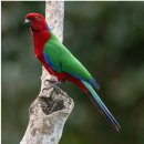 (주)수바이오 | [피지 일상] 9월 첫째주ㅣ여기 온지 벌써 반 년ㅣ갔던 곳도 계속 가게 되는 수바ㅣFIJI, SUVA