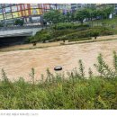 나성동_다정교 이미지