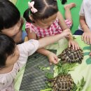 남구구립 이미지