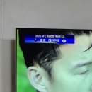 왕가탕후루 레몬탕후루 무슨맛