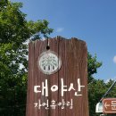 대야산 등산코스 (용추계곡-월영대-밀재) 20240804 이미지