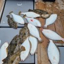 공현진항 이미지