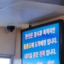 울릉도 3박4일 1일차(쏘카, 봉래폭포, 울릉도오징어회타운, 내수전몽돌해변)