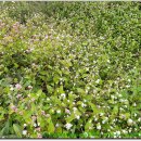 백운면사무소 이미지