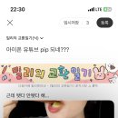 아이폰 유튜브 pip 되네??? 이미지