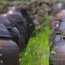 매실농원민박 이미지