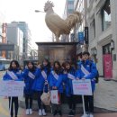 춘천닭갈비가떴다 이미지
