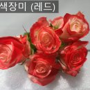 서마농장 네이버블로그
