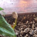 둘만농장 이미지