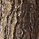 올굿띵스 이미지