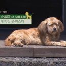 김포민박 네이버블로그