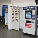 인피니티 플라잉 | 경주 인피니티 플라잉 공연후기 경주엑스포공원 벚꽃